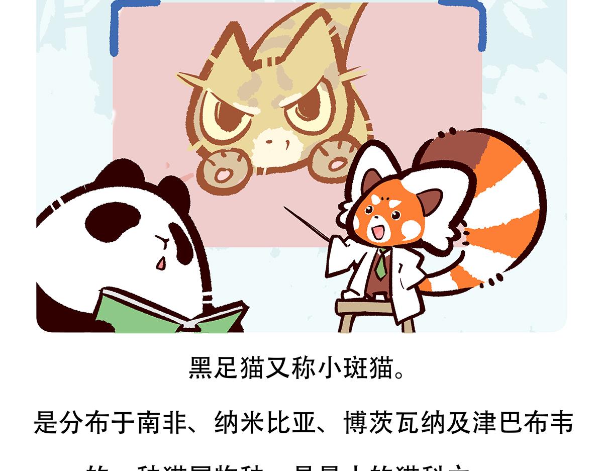 第116话23