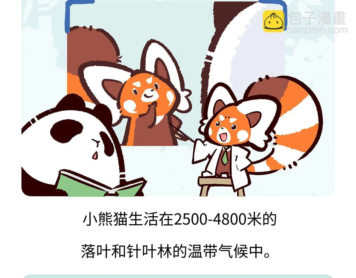 第195话24