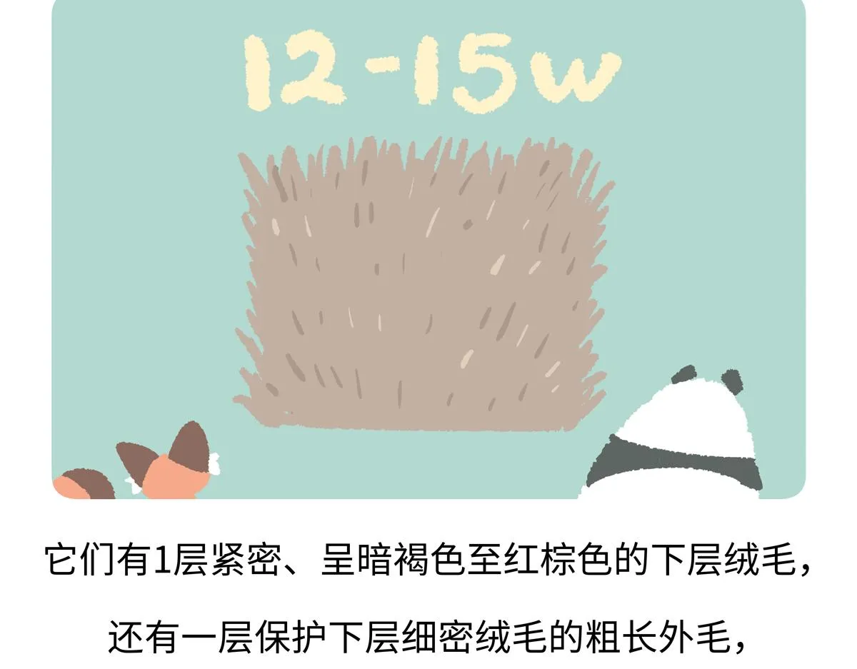 第204话28