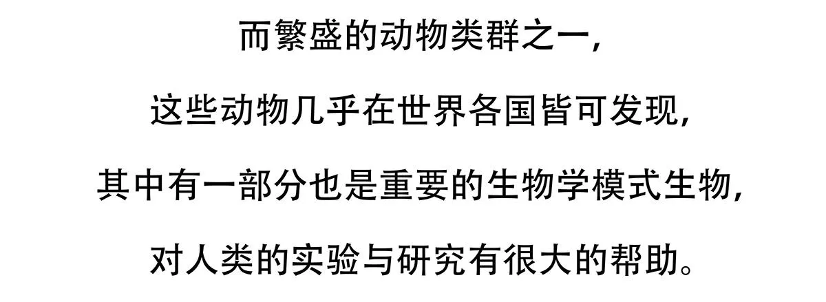 第153话24