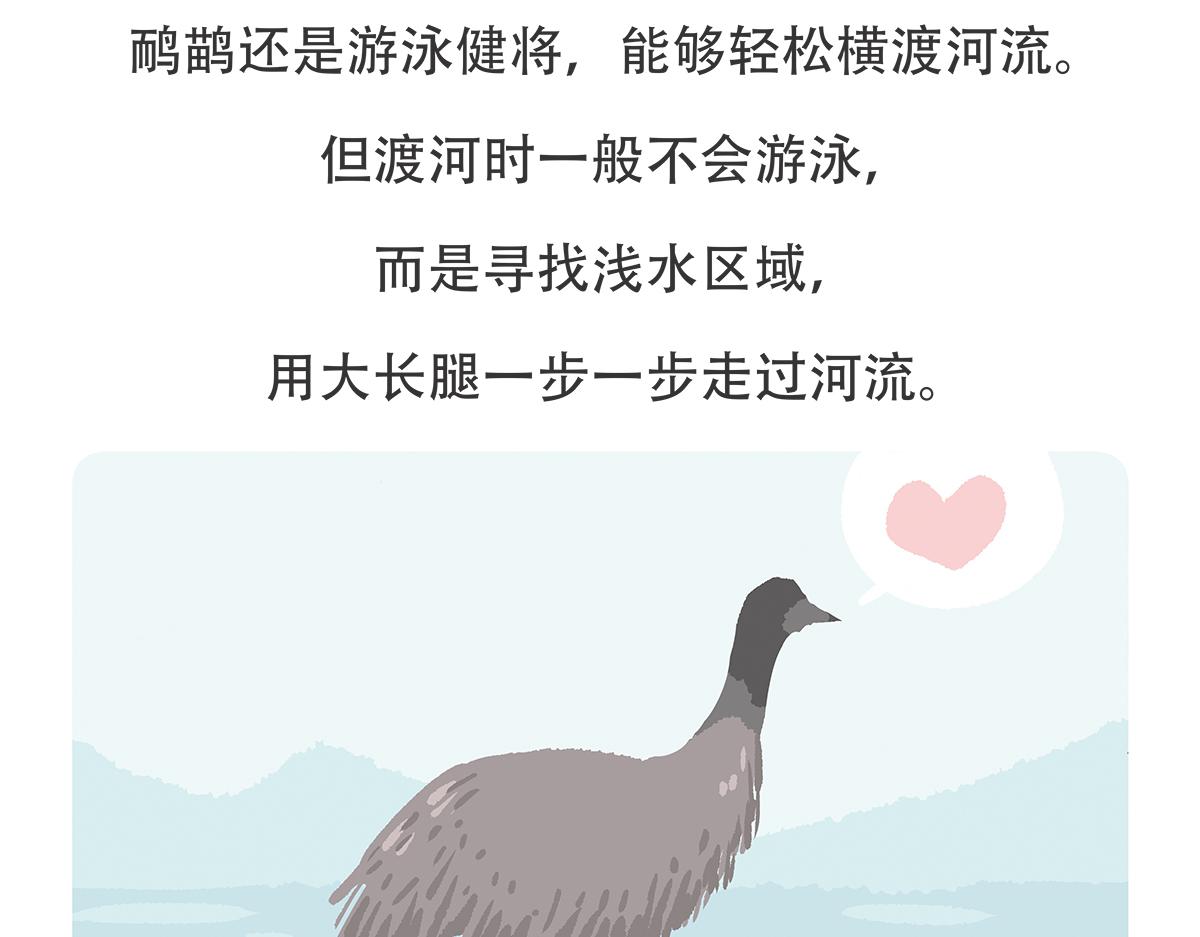 第104话29