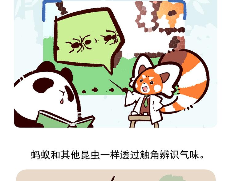 第36话27