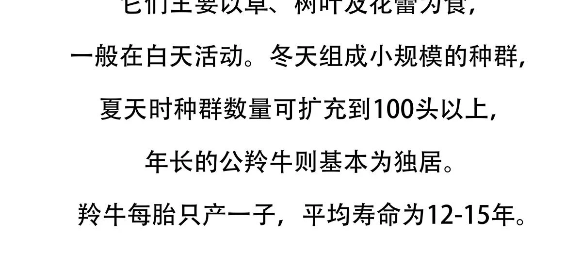 第144话24