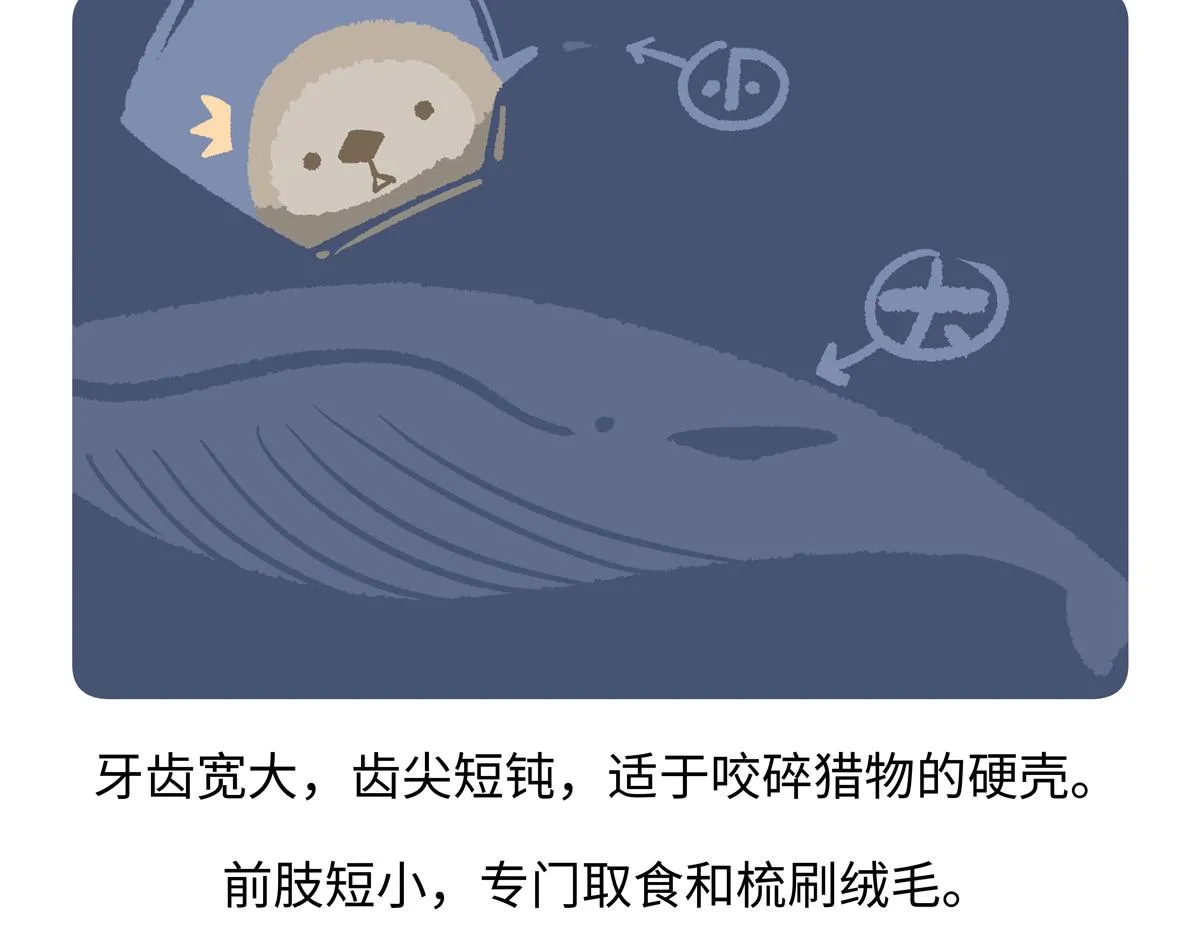 第204话21