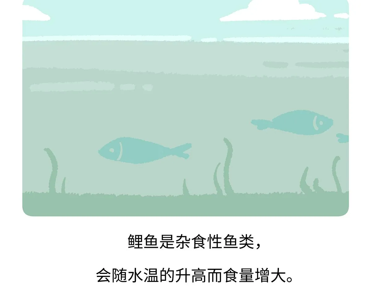 第194话19