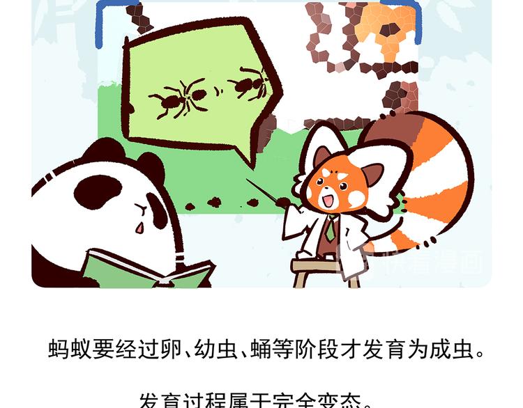 第36话19