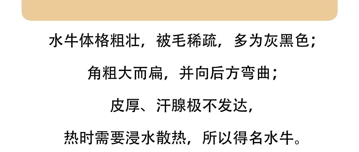 第143话21