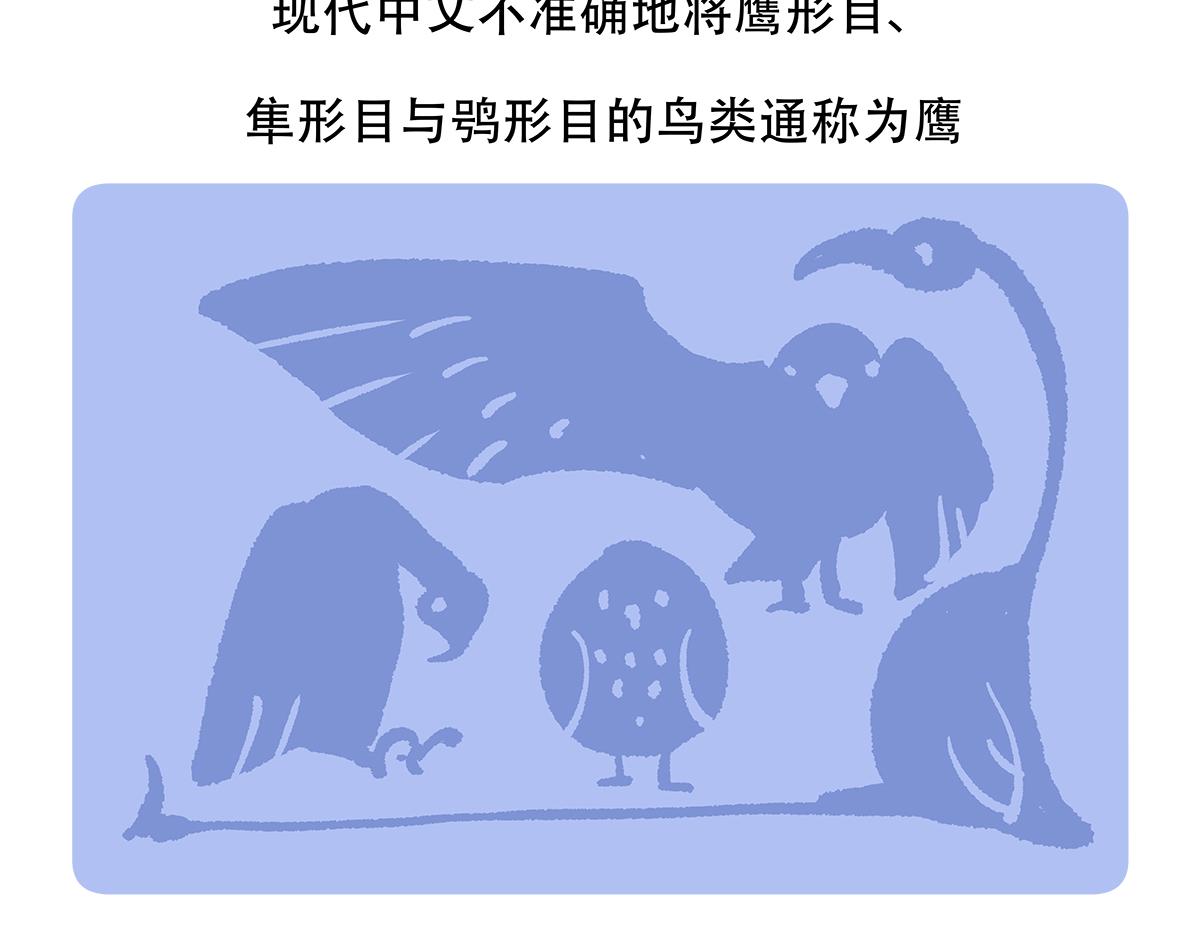 第135话20