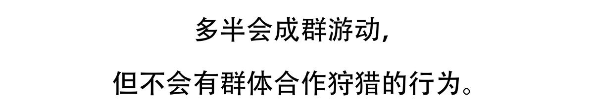第87话29
