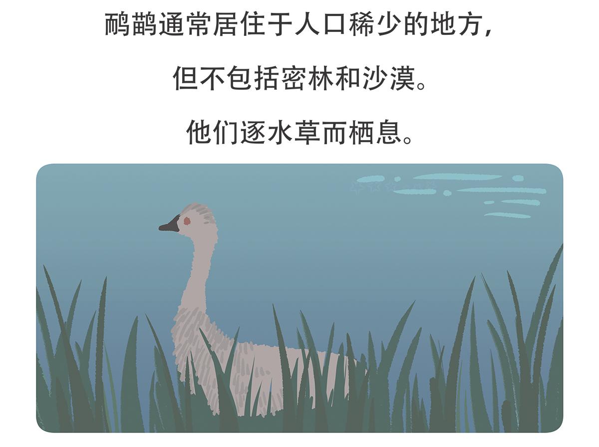 第104话28