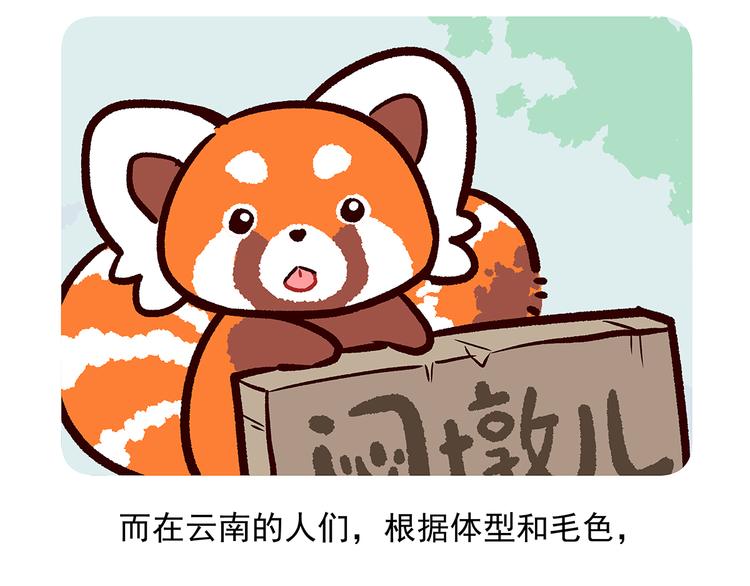 第51话26