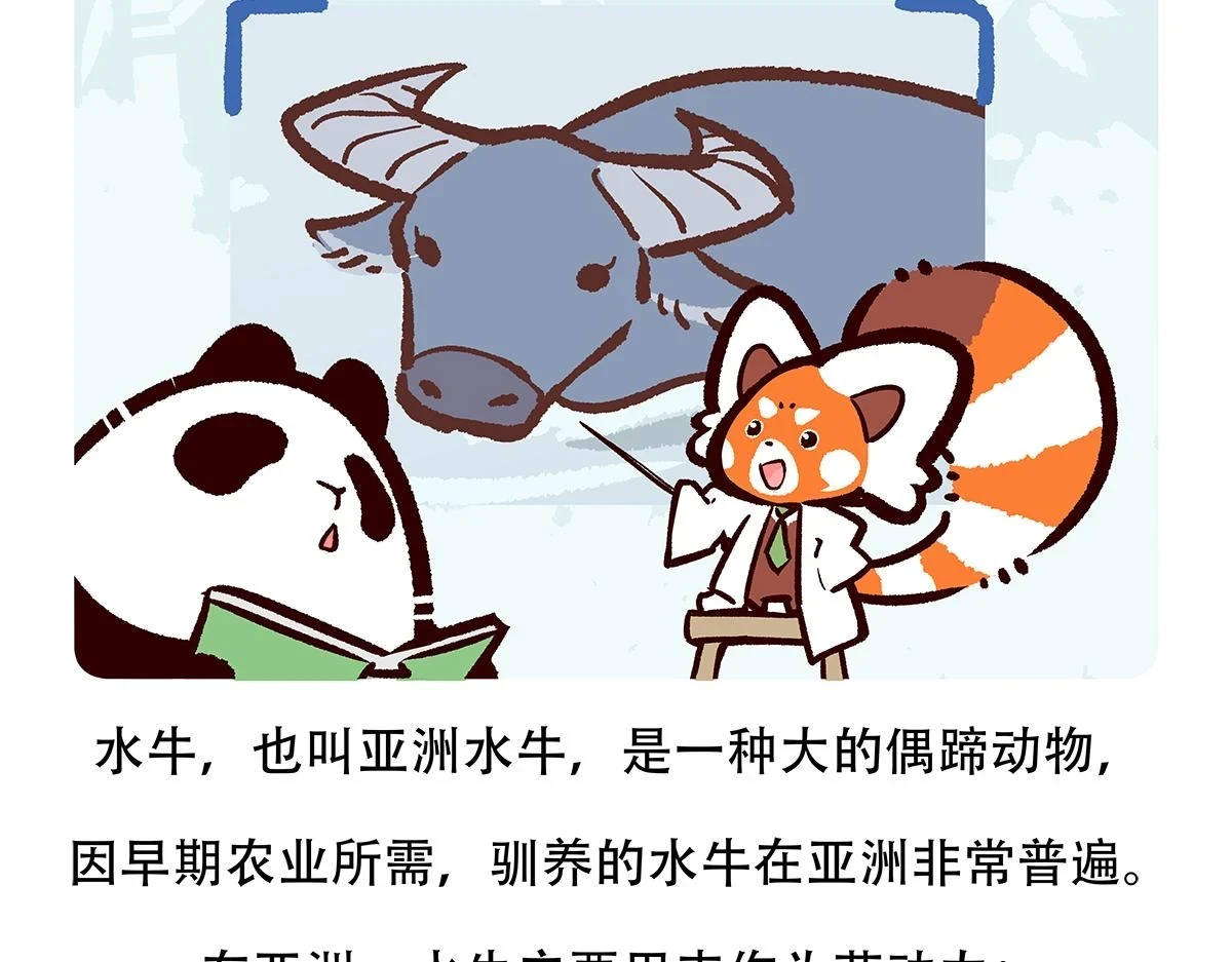 第143话19