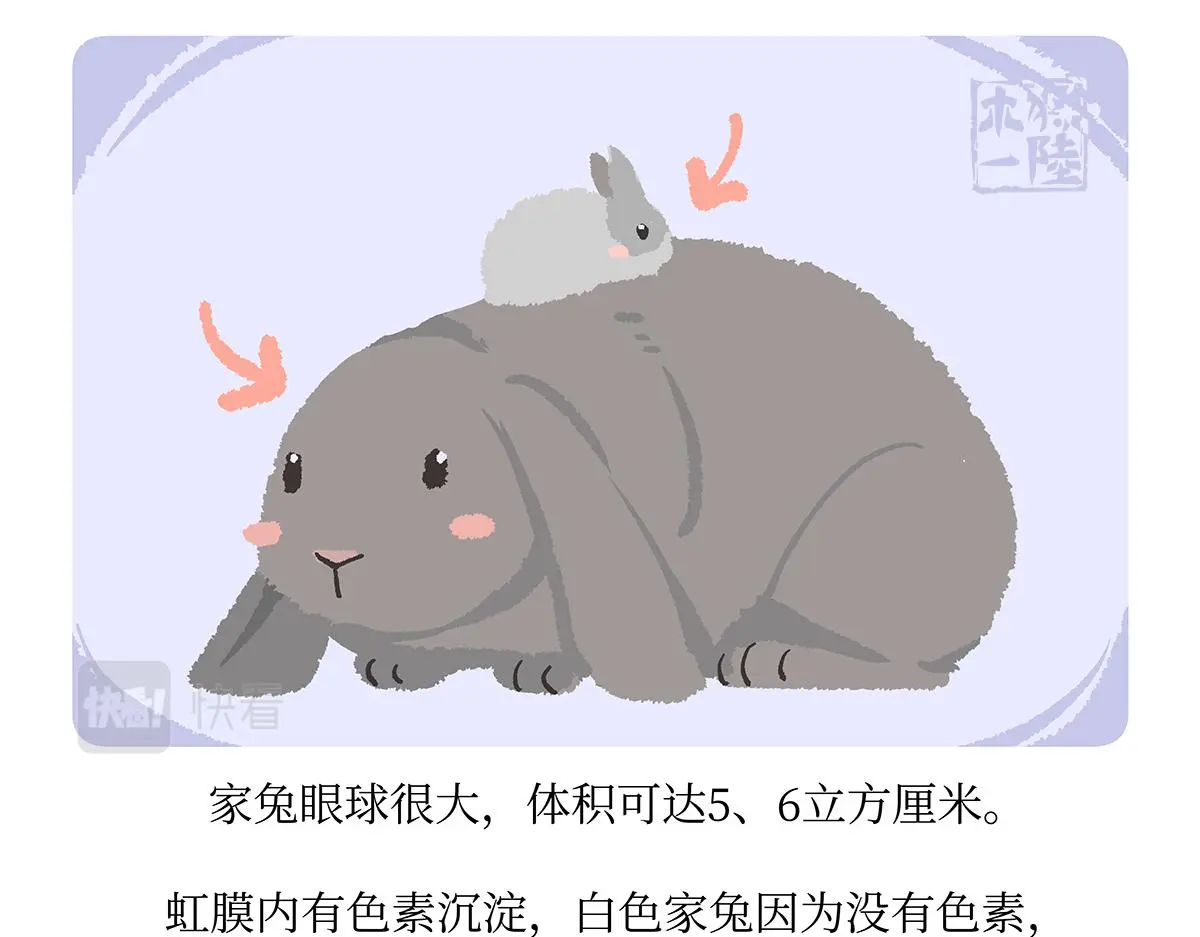 第161话20