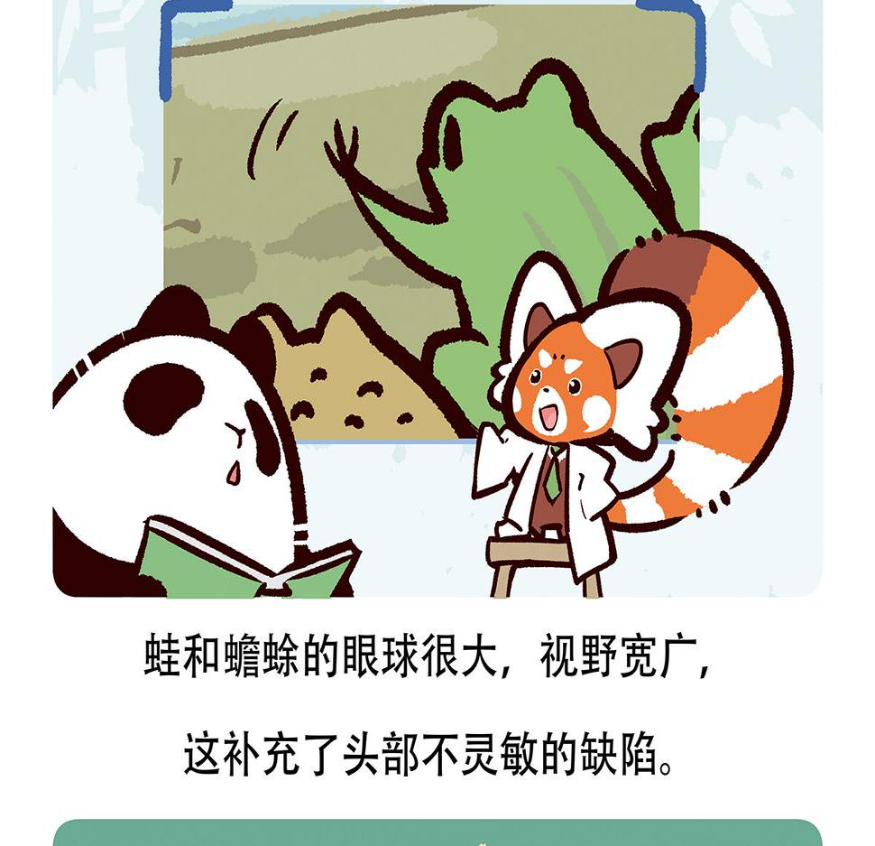 第88话19