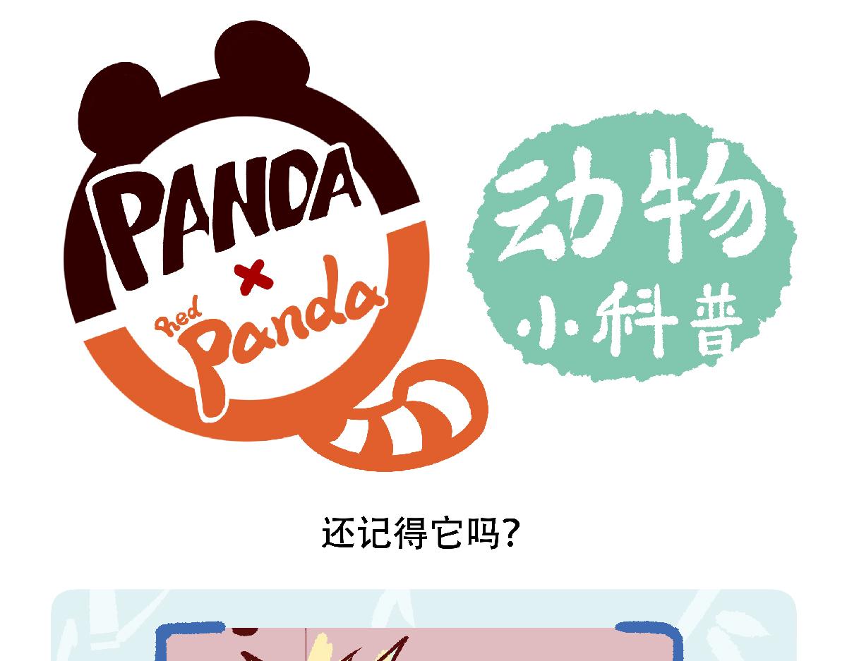 第121话24