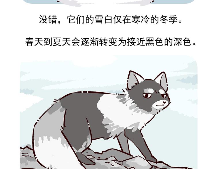 第31话24