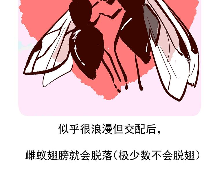 第11话21