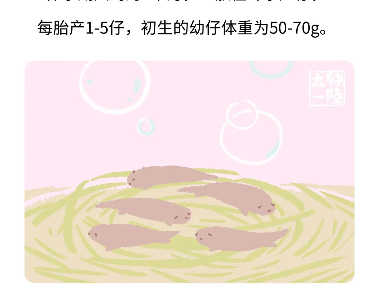 第203话22