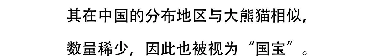 第144话21