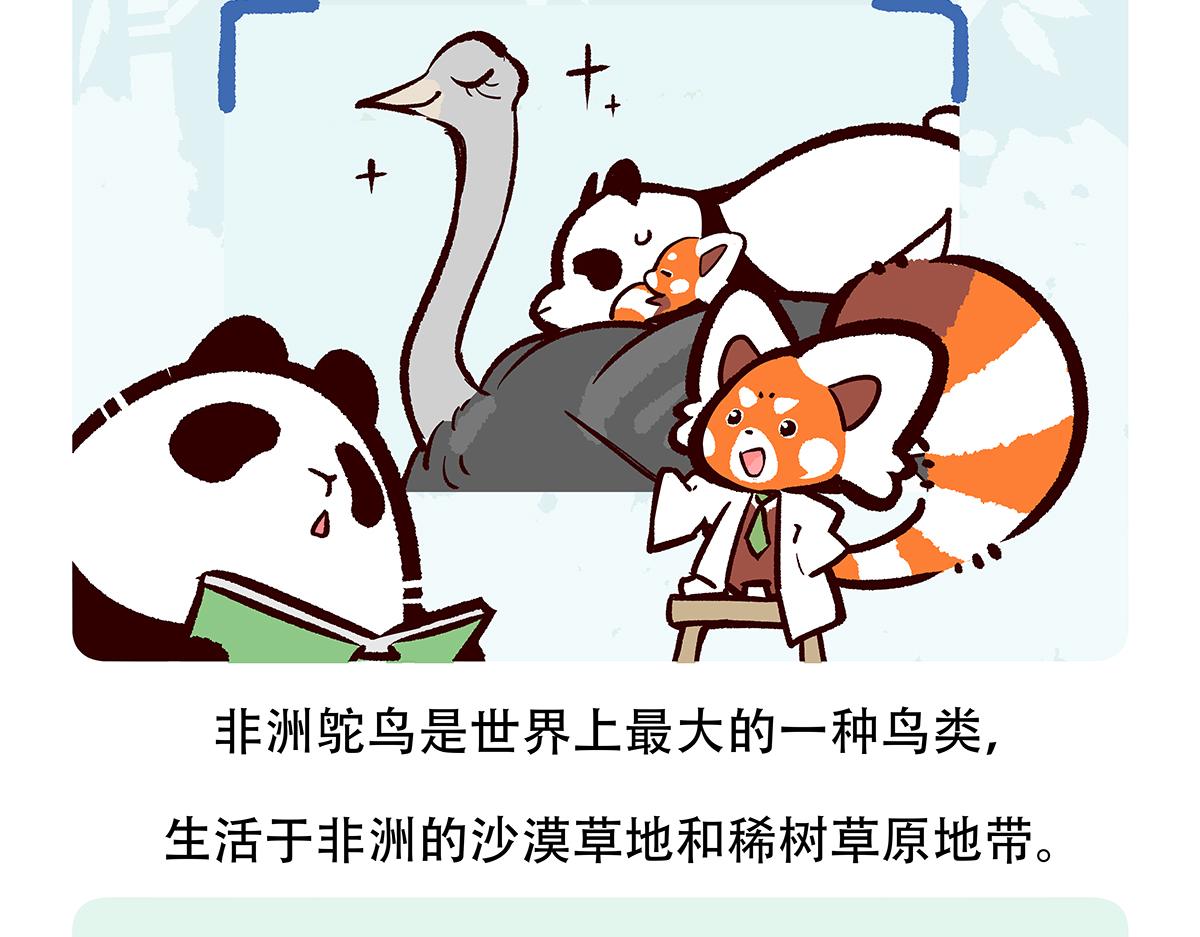 第102话19