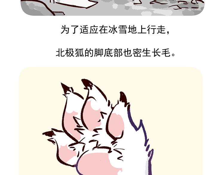 第31话25