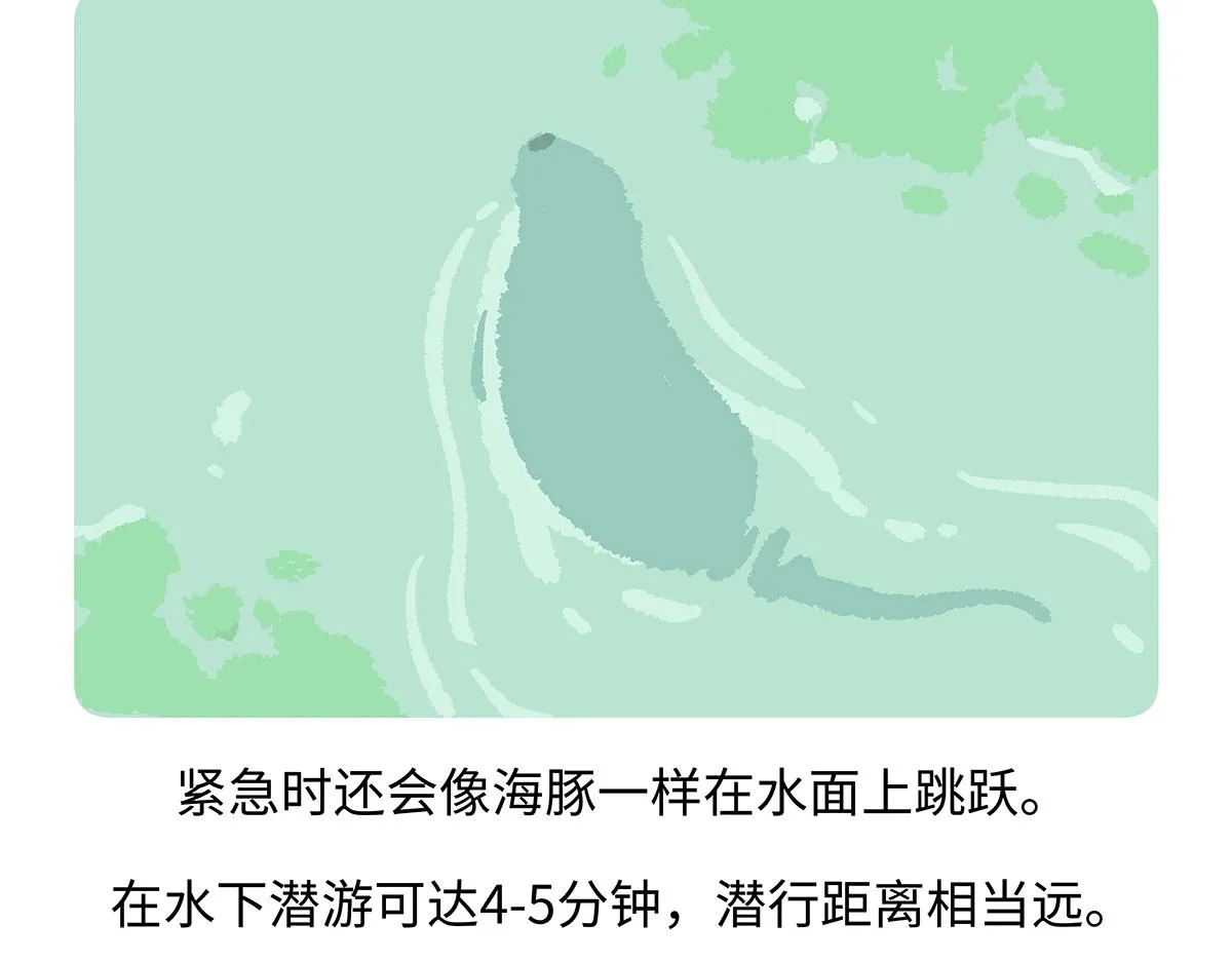 第197话26