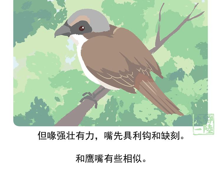 第53话30