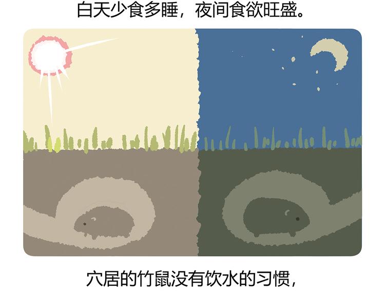 第56话27