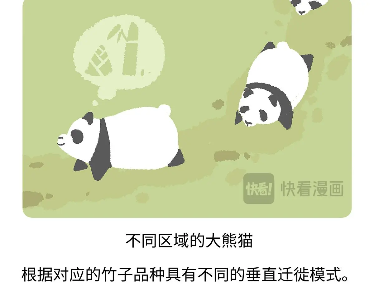 第186话17