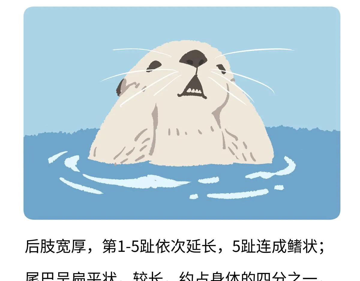 第204话23
