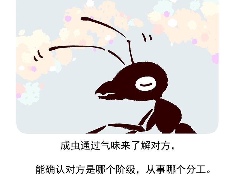第36话29