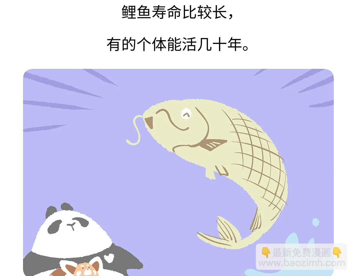 第194话28