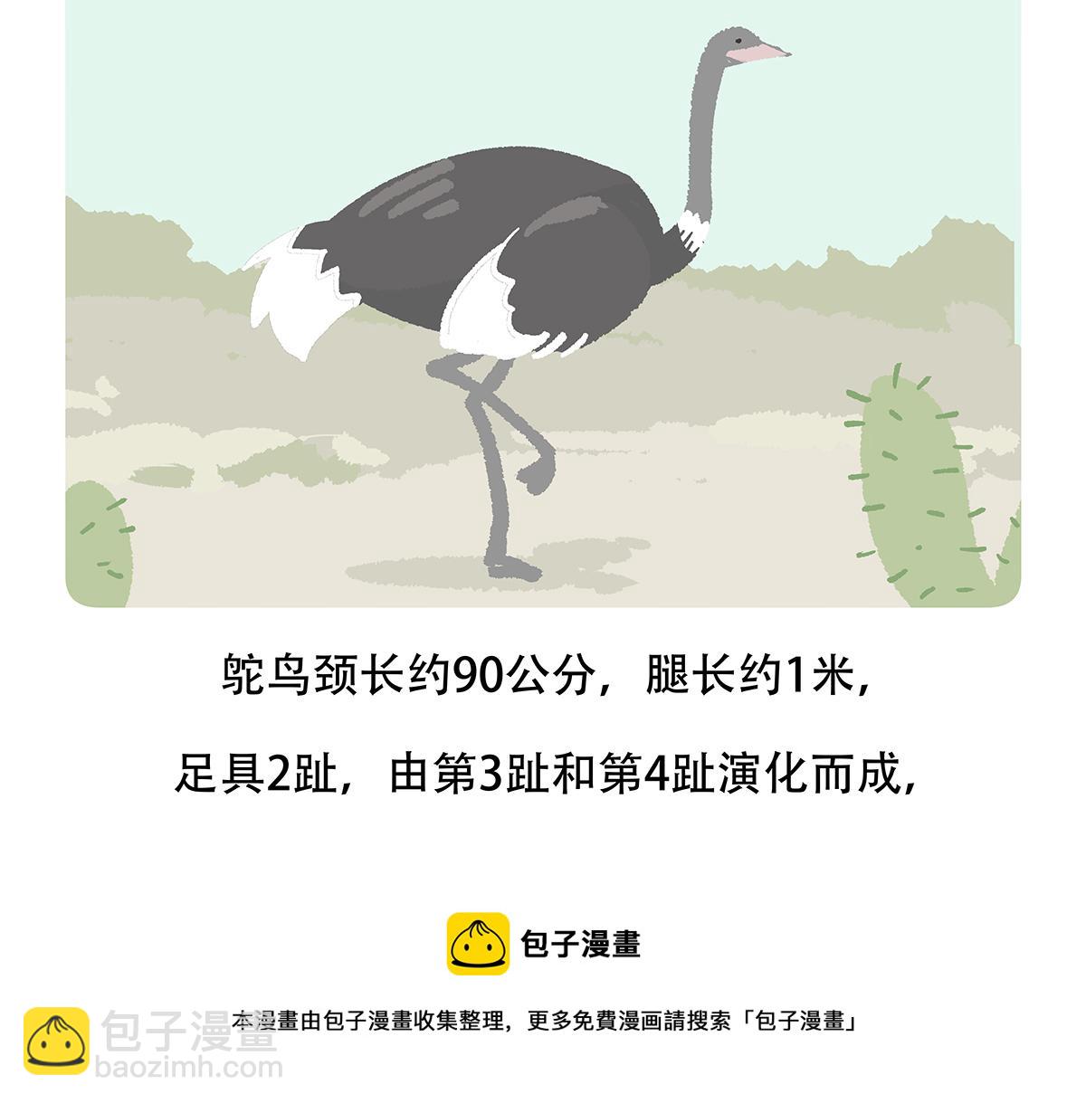 第102话20