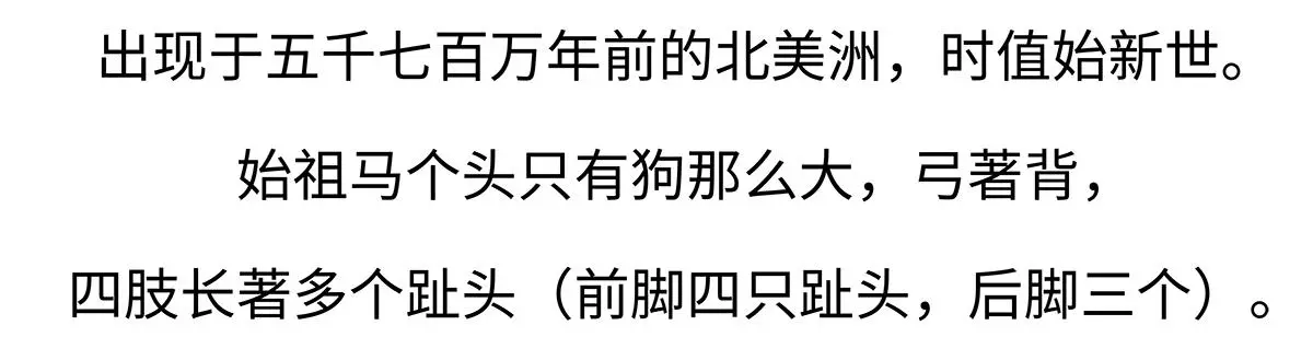 第168话20