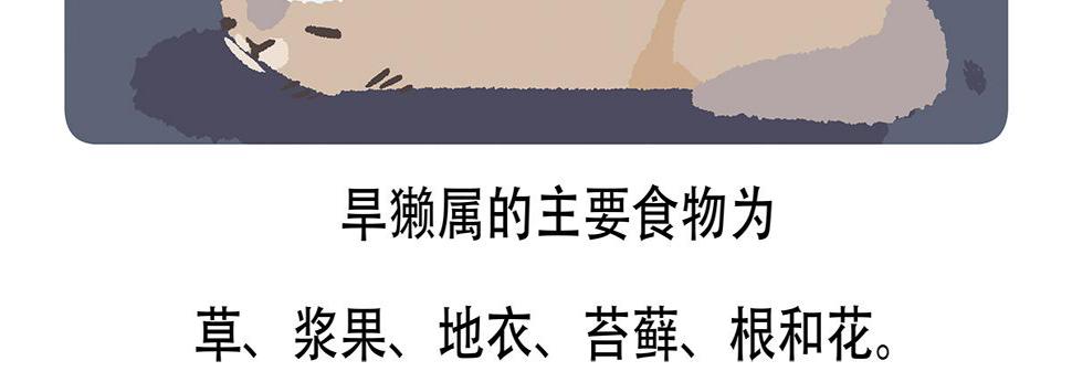 第88话28