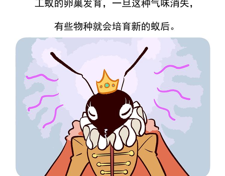 第36话32