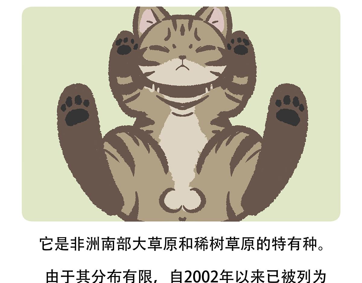 第116话26