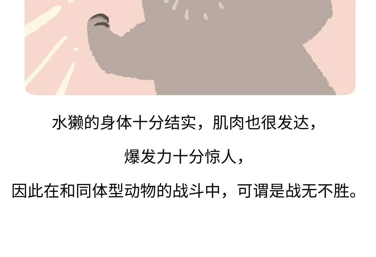 第202话22