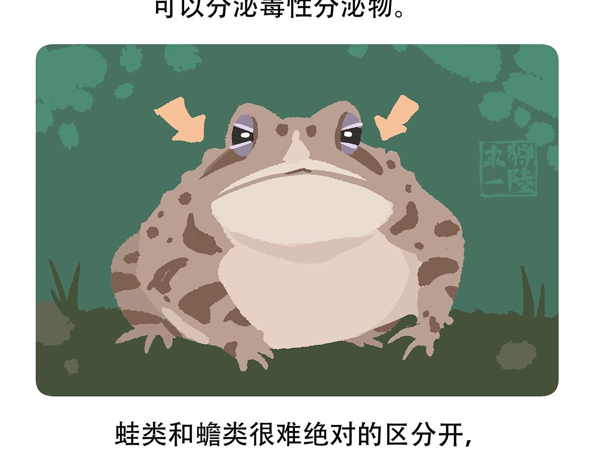第86话27