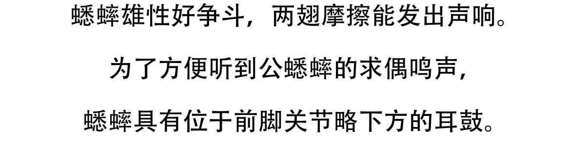 第136话21