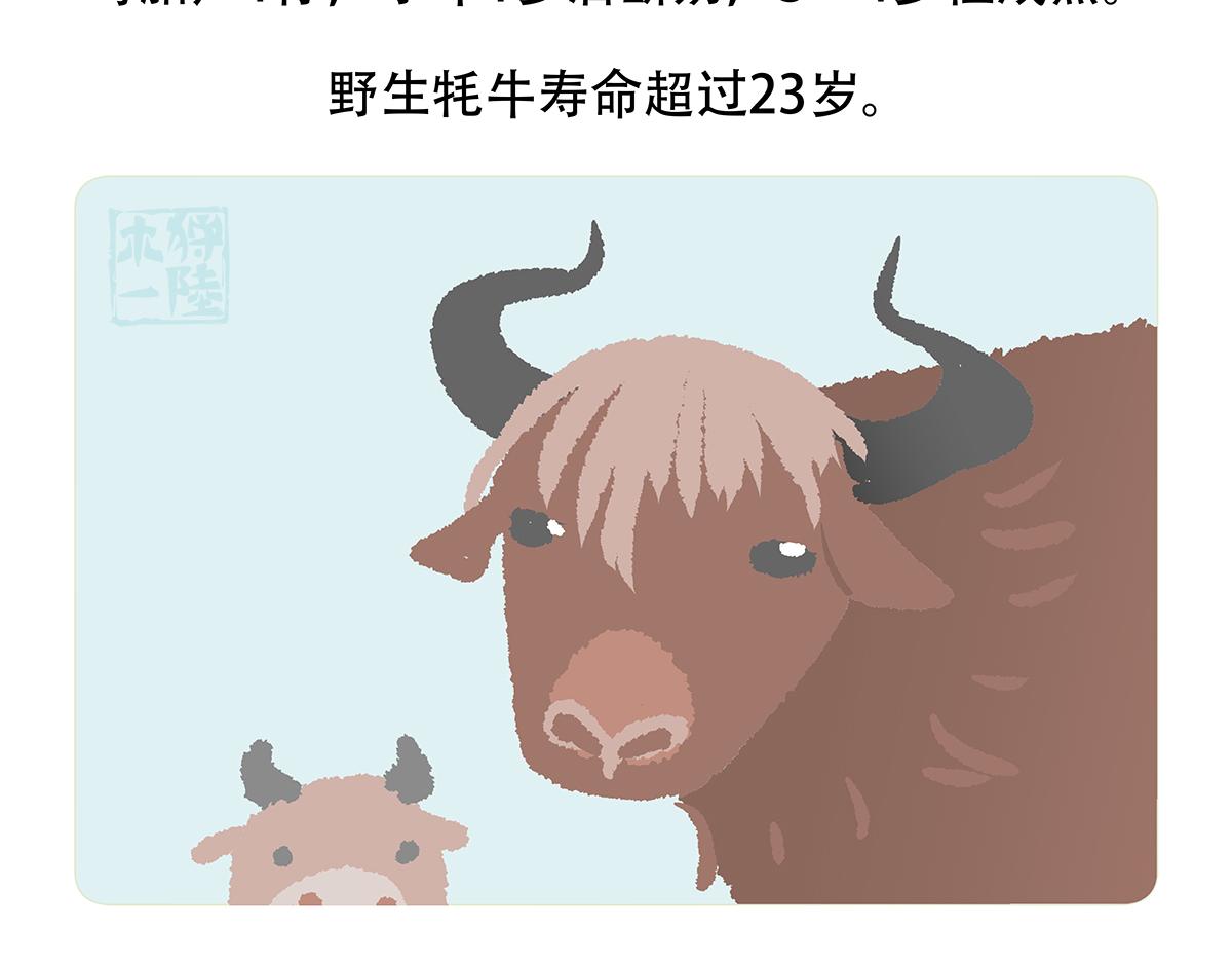 第147话24