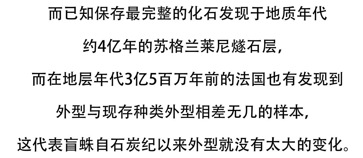 第130话21