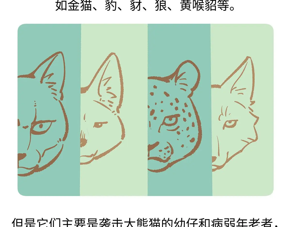 第185话17