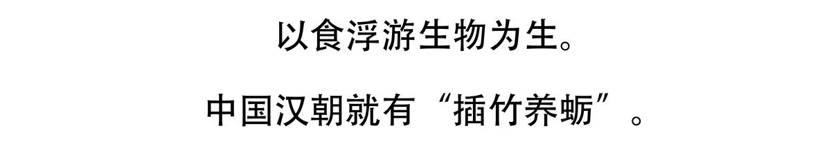 第142话21