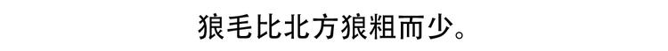 第55话16