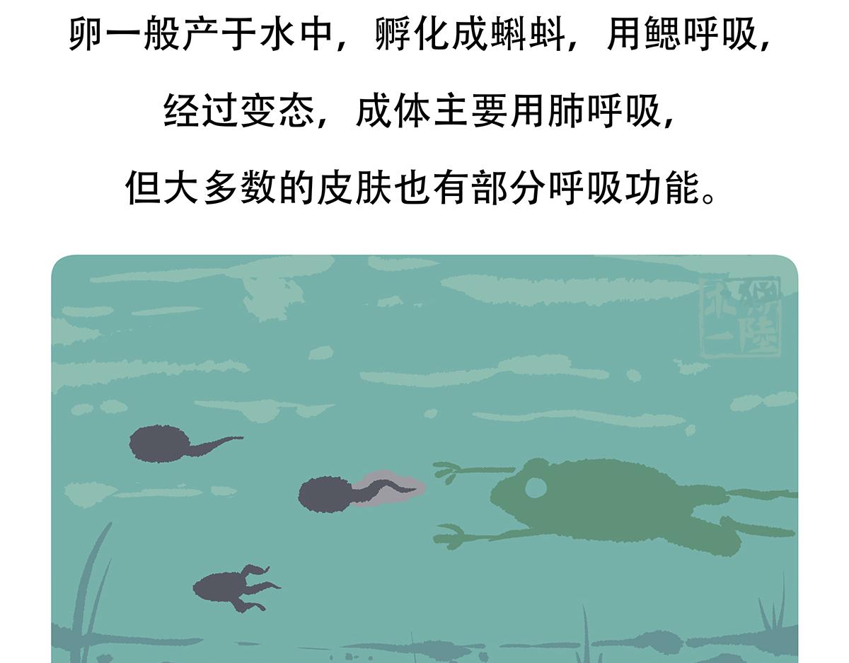 第85话27