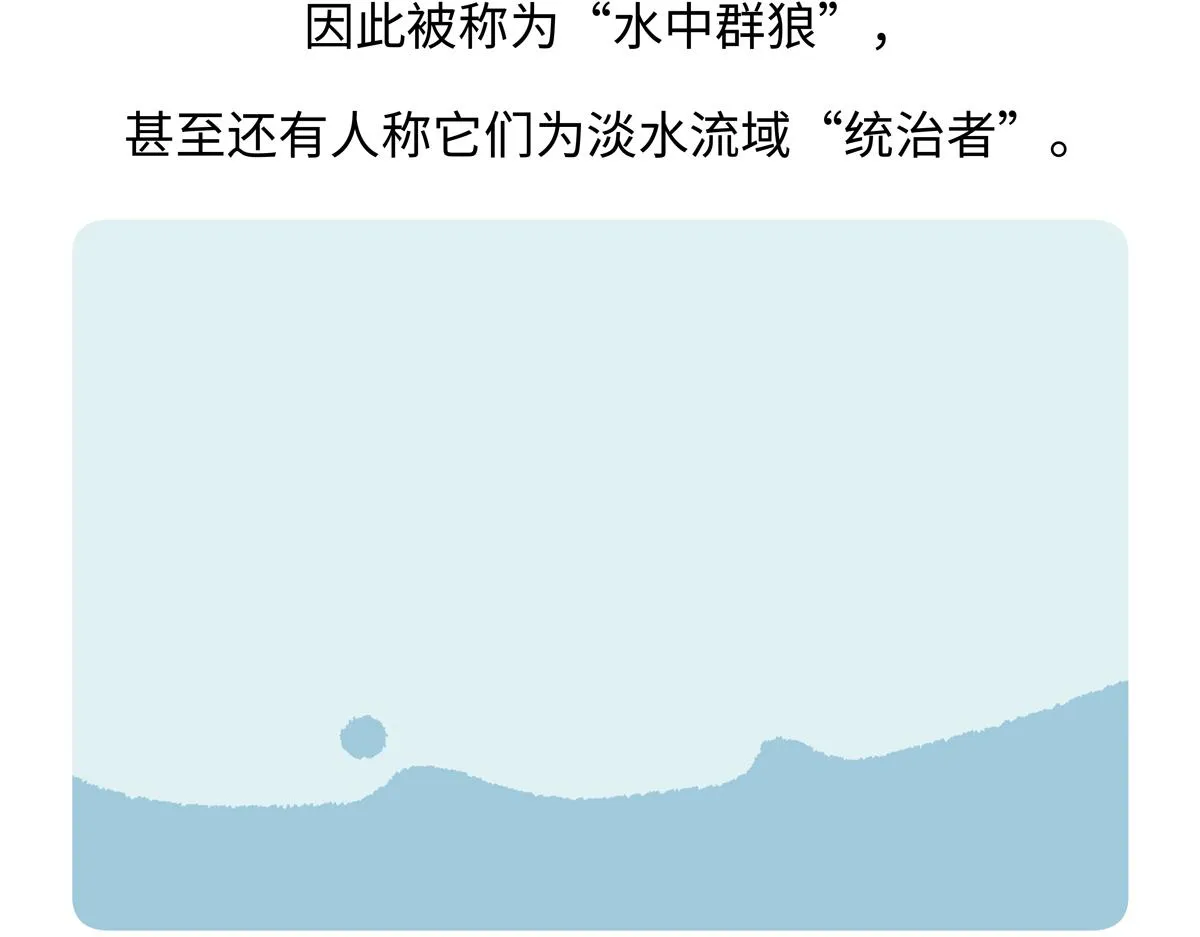 第202话18