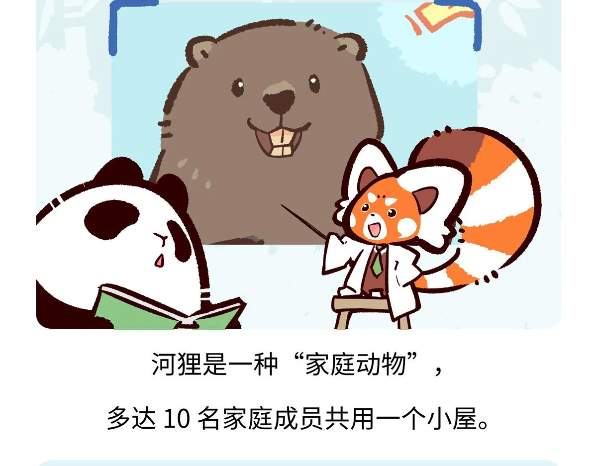 第209话16