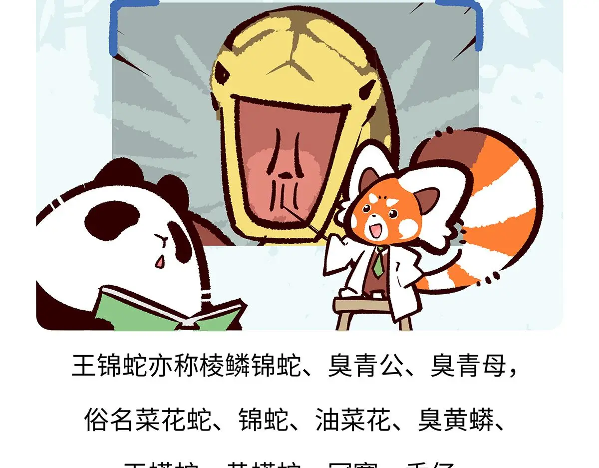 第164话25