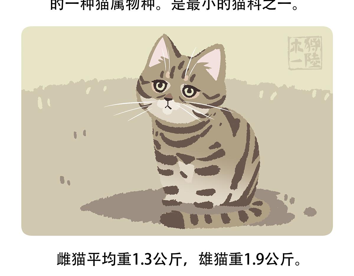 第116话24